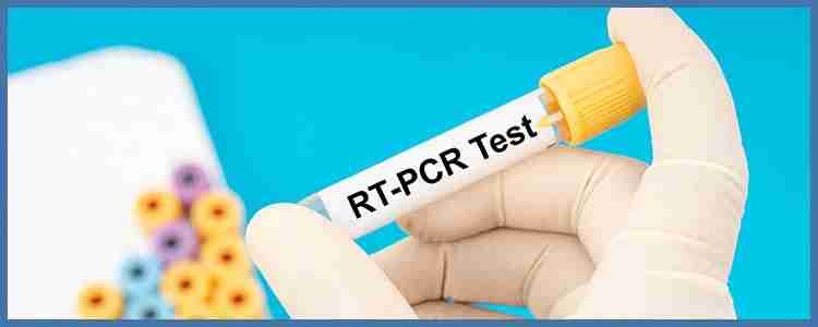 What is a RT PCR Test, and how does it Work?